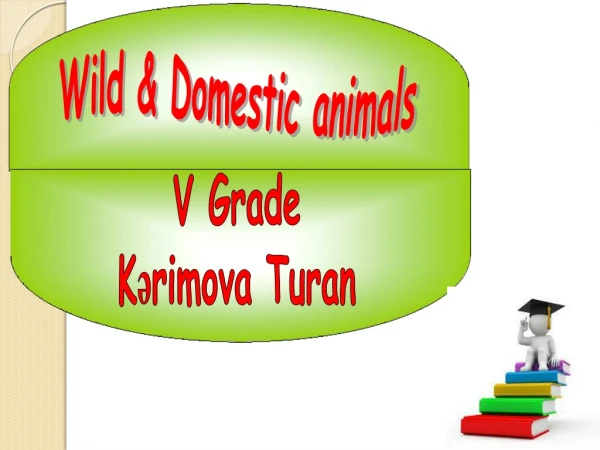 Wild &amp; Domestic animals