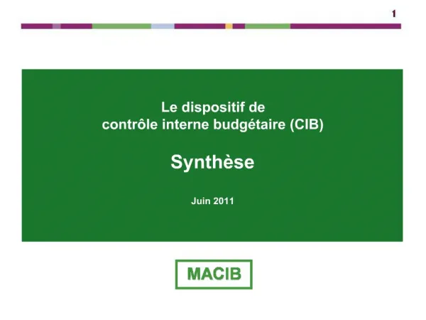 Le dispositif de contr le interne budg taire CIB Synth se Juin 2011