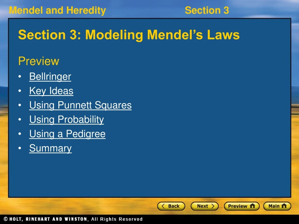 section 3 modeling mendel s laws