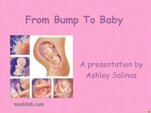 From Bump To Baby