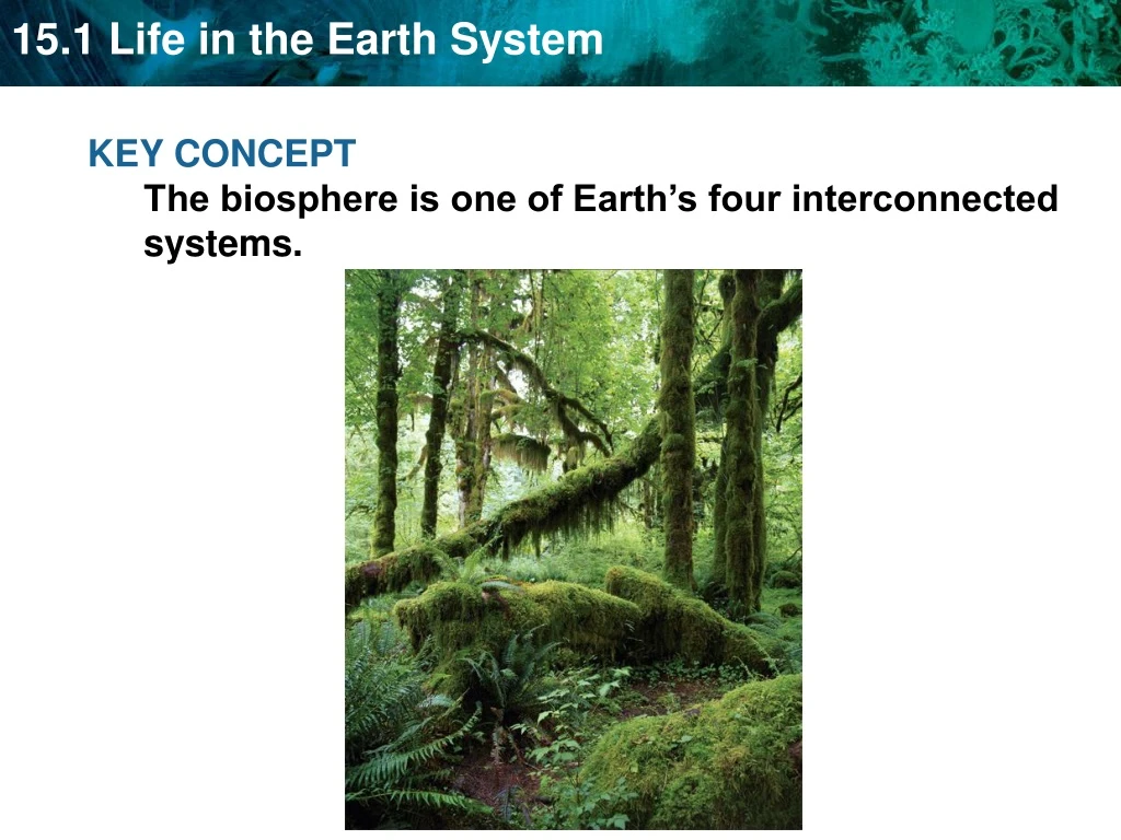 key concept the biosphere is one of earth s four