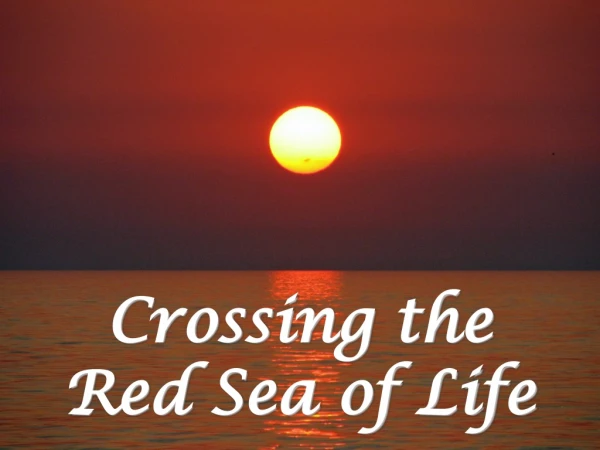 Crossing the Red Sea of Life
