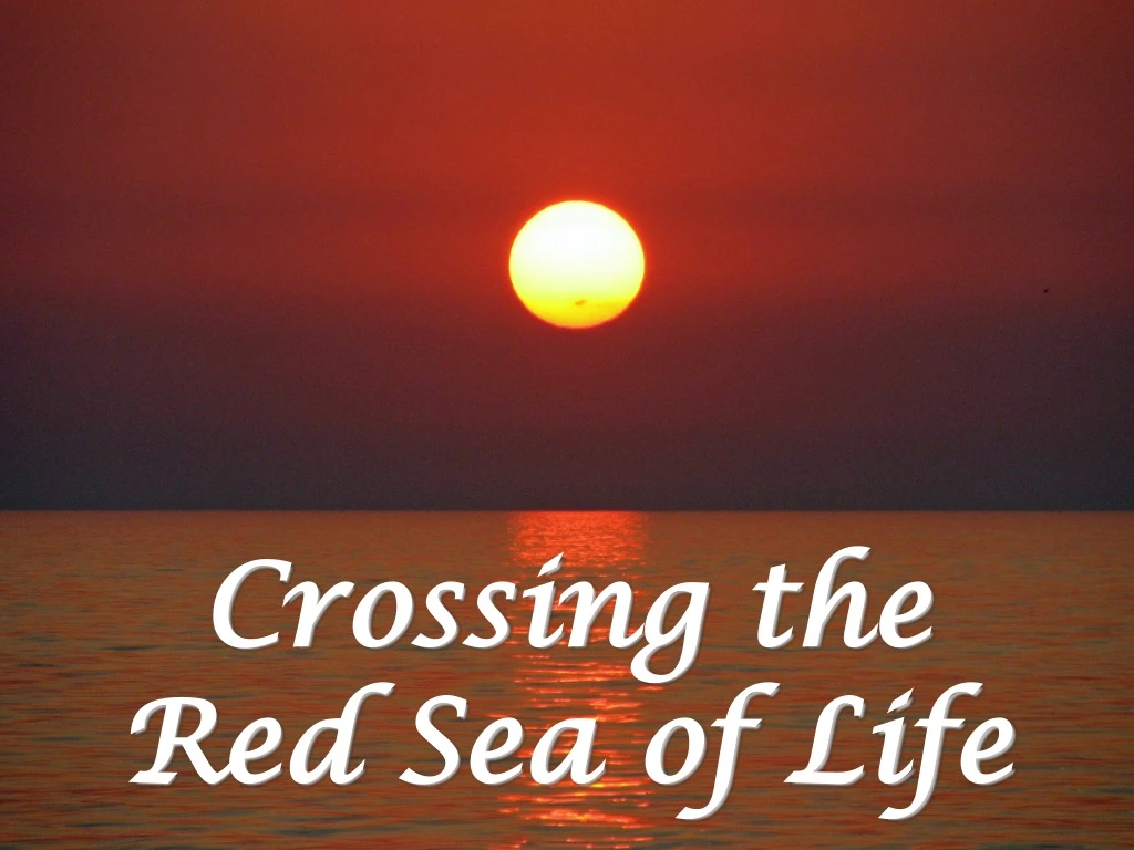 crossing the red sea of life