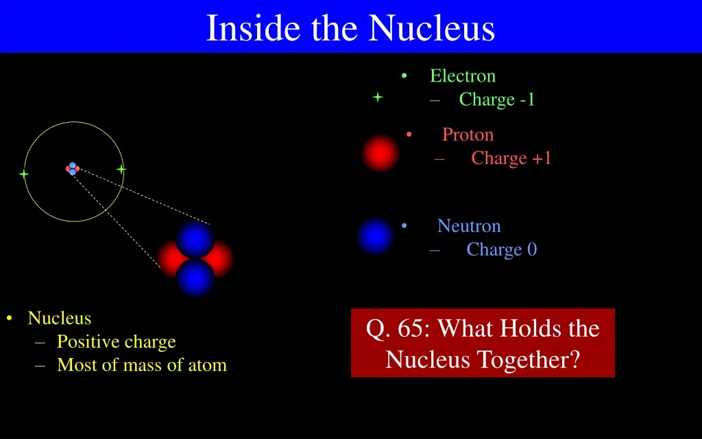 inside the nucleus