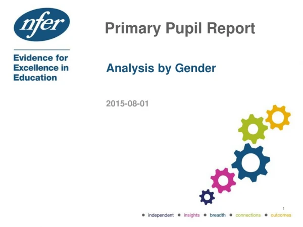 Primary Pupil Report
