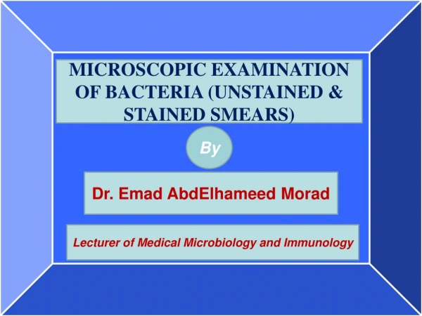 MICROSCOPIC EXAMINATION OF BACTERIA (UNSTAINED &amp; STAINED SMEARS)