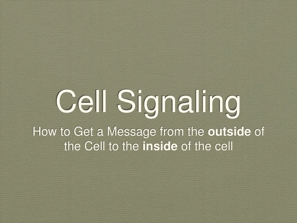 cell signaling