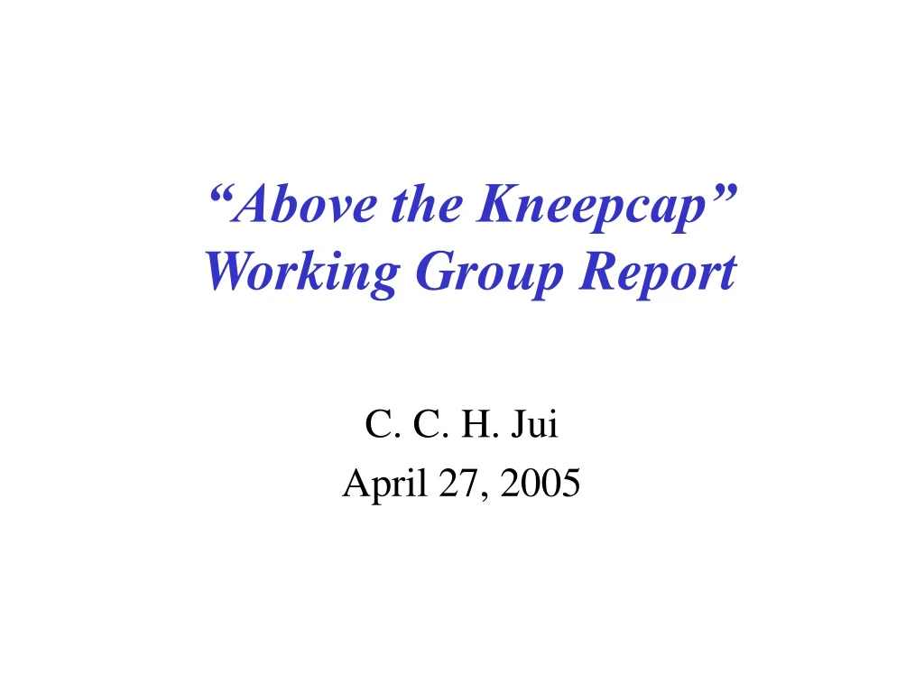 above the kneepcap working group report