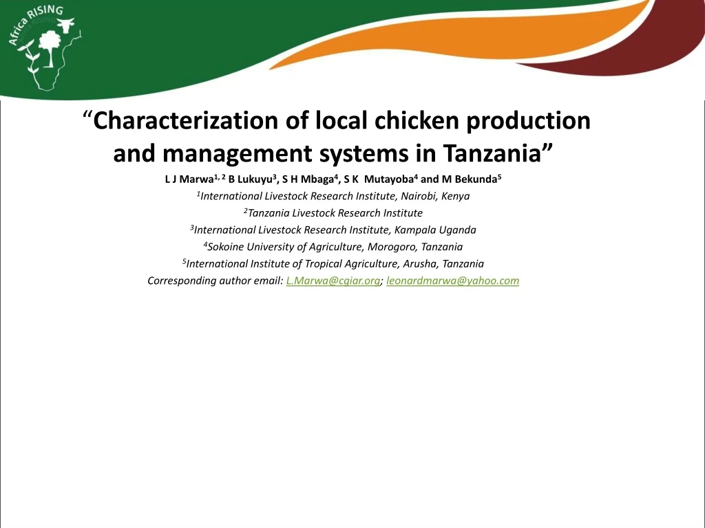 characterization of local chicken production