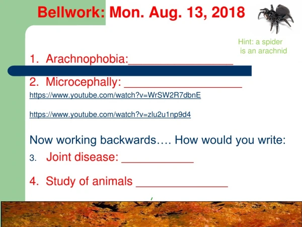 Bellwork: Mon. Aug. 13, 2018