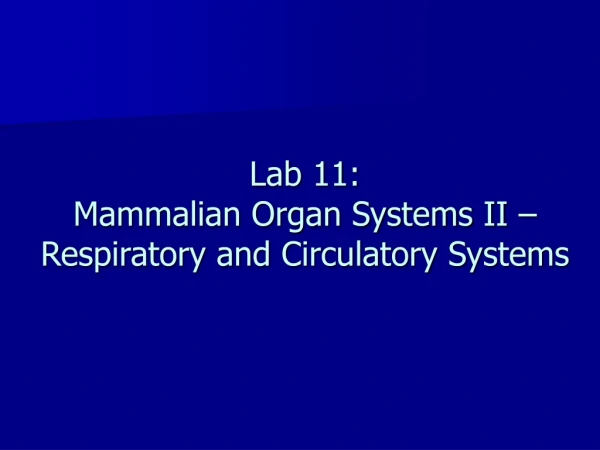 Lab 11: Mammalian Organ Systems II – Respiratory and Circulatory Systems