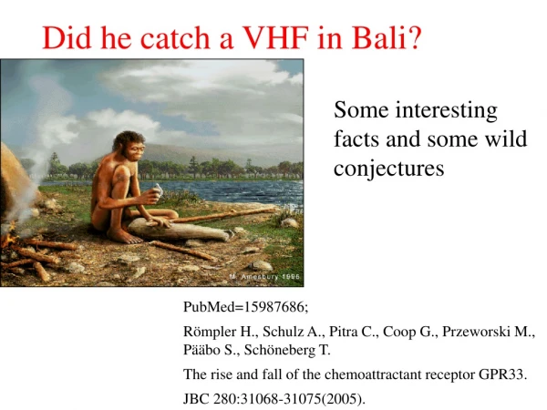 Did he catch a VHF in Bali?
