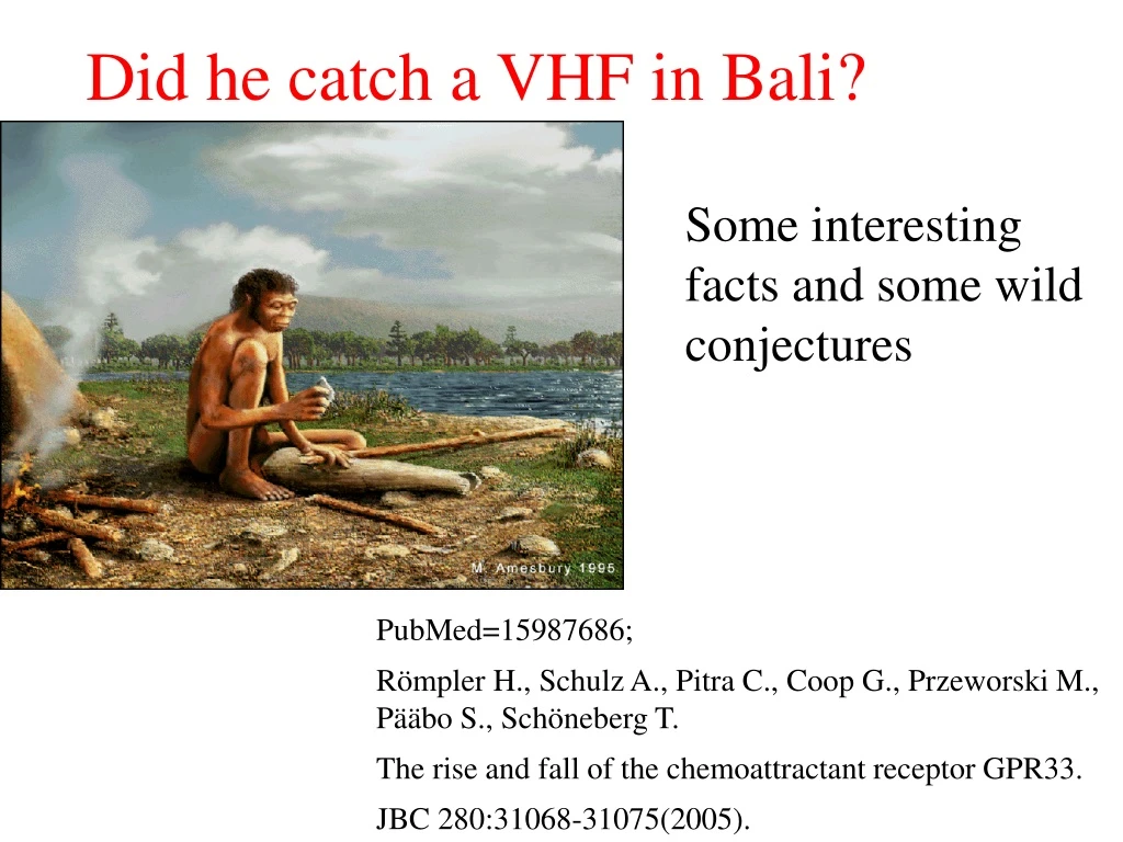 did he catch a vhf in bali