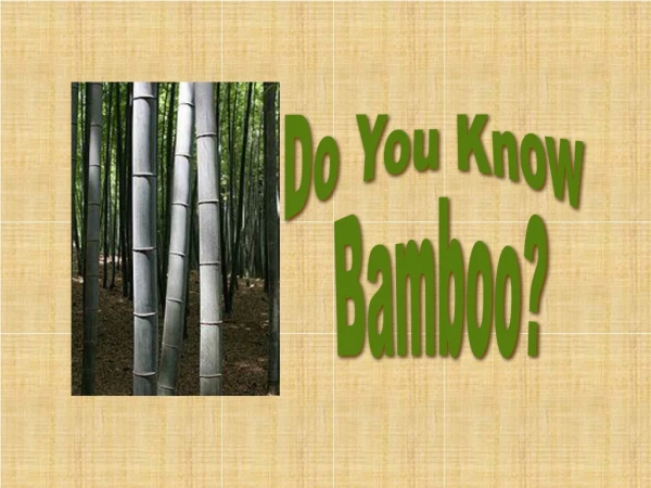 Do You Know Bamboo?