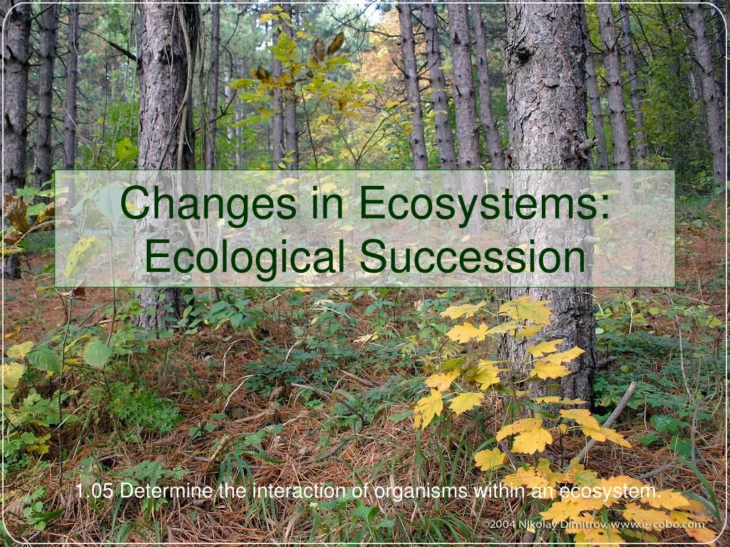changes in ecosystems ecological succession
