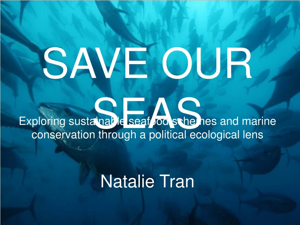 save our seas