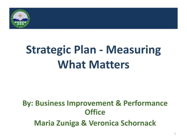 Strategic Plan - Measuring What Matters