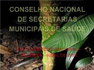 CONSELHO NACIONAL DE SECRETARIAS MUNICIPAIS DE SA DE