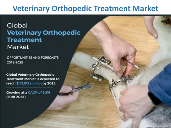 Veterinary Orthopedic Treatment Market Expected to Witness a Sustainable Growth