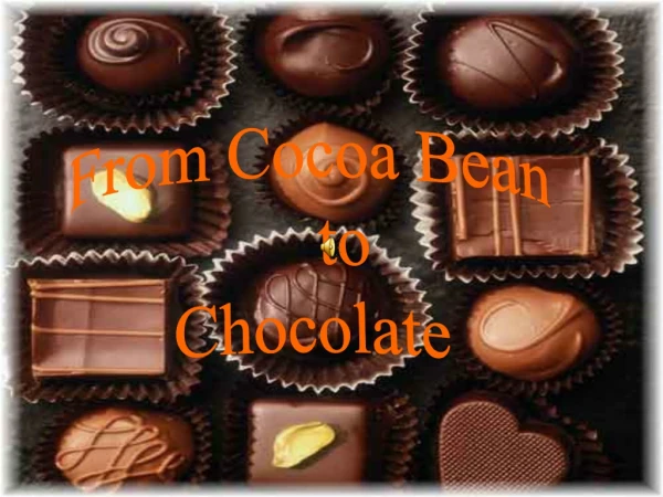 From Cocoa Bean to Chocolate