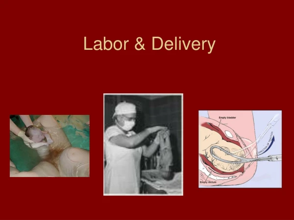 Labor &amp; Delivery