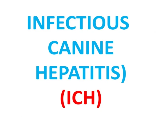 INFECTIOUS CANINE HEPATITIS) (ICH)