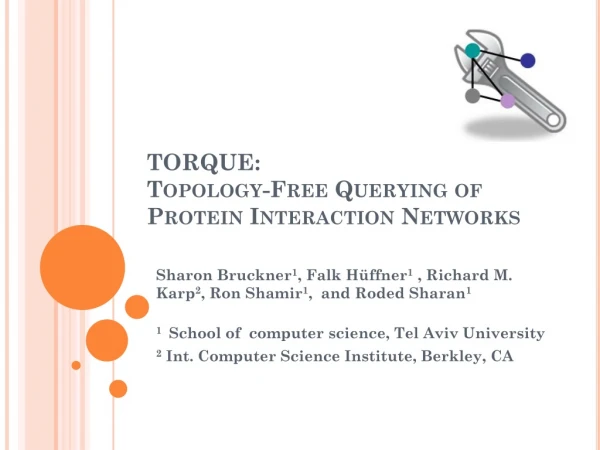 TORQUE: Topology-Free Querying of Protein Interaction Networks