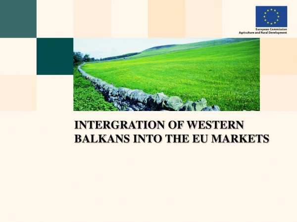 INTERGRATION OF WESTERN BALKANS INTO THE EU MARKETS