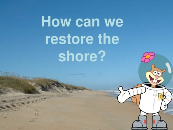 How can we restore the shore?