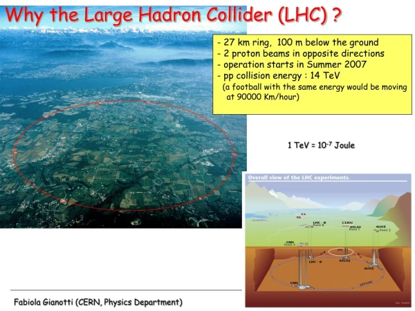 Why the Large Hadron Collider (LHC) ?