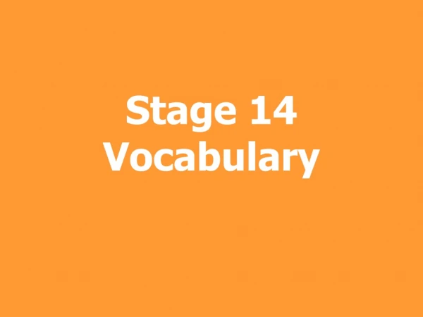 Stage 14 Vocabulary