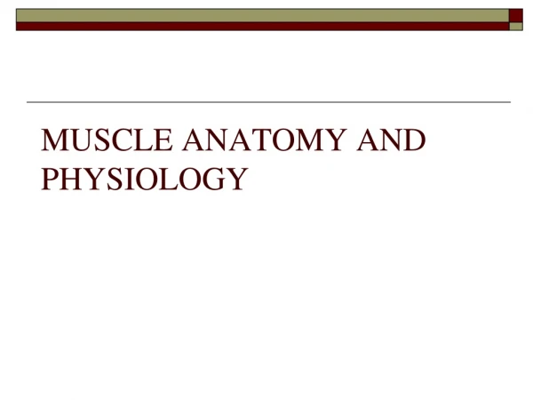 MUSCLE ANATOMY AND PHYSIOLOGY