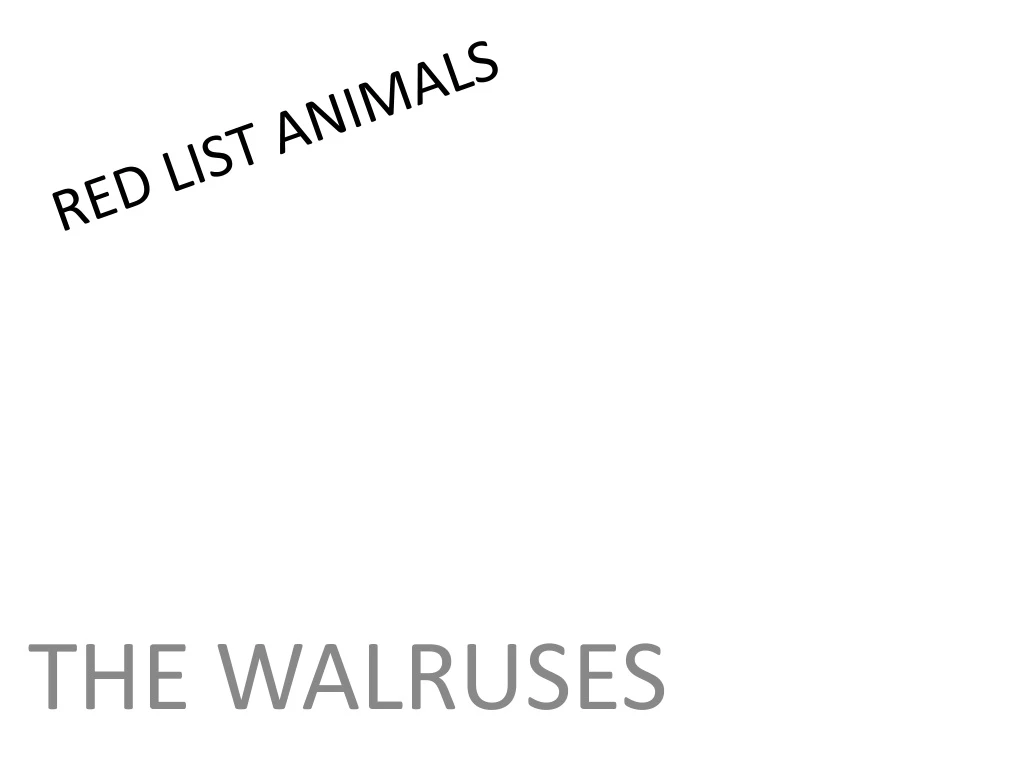red list animals