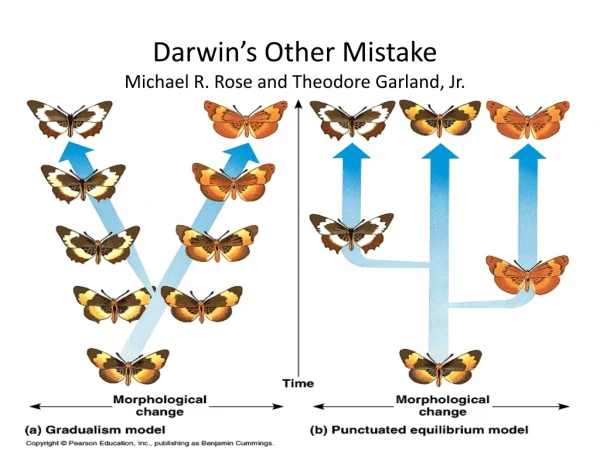 Darwin’s Other Mistake Michael R. Rose and Theodore Garland, Jr.