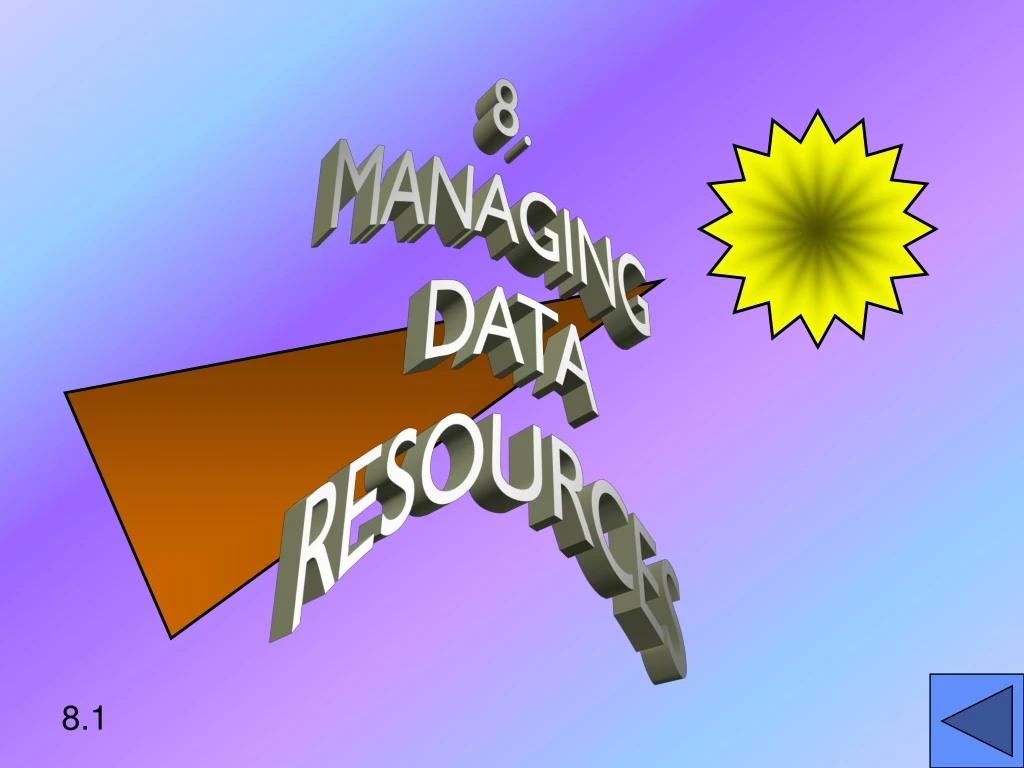 8 managing data resources