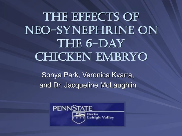 The Effects of Neo-synephrine on the 6-Day Chicken Embryo