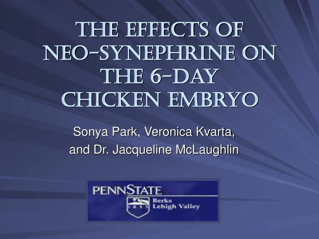 the effects of neo synephrine on the 6 day chicken embryo