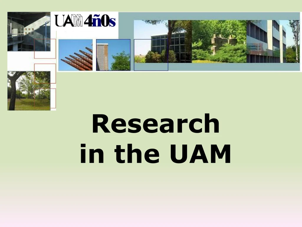 research in the uam