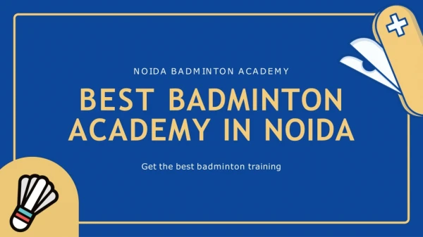 Best Badminton Academy in Noida