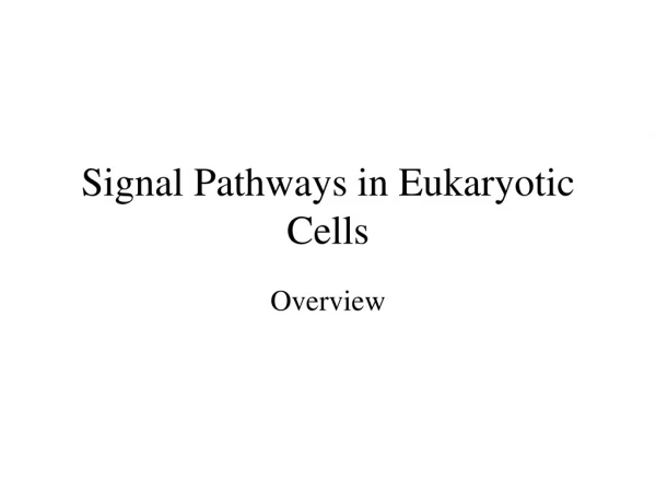 Signal Pathways in Eukaryotic Cells