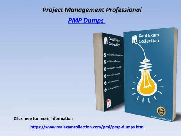 Updated pmi pmp Exam Dumps - pmp Question Answers