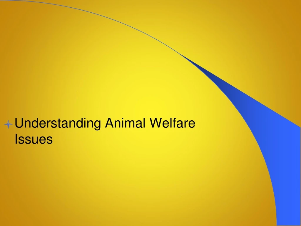 understanding animal welfare issues