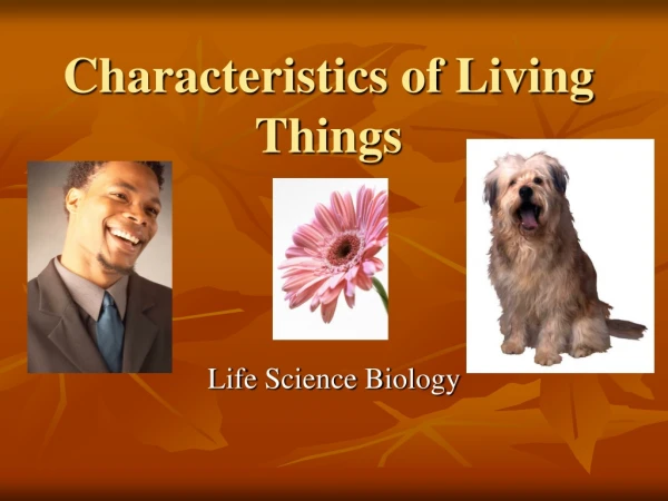 Characteristics of Living Things