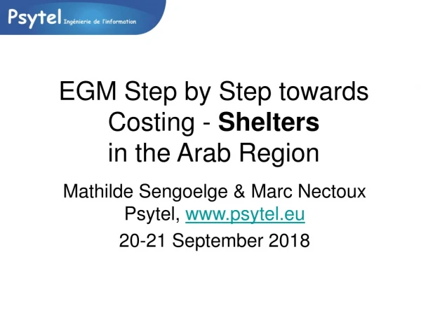 EGM Step by Step towards Costing - Shelters in the Arab Region