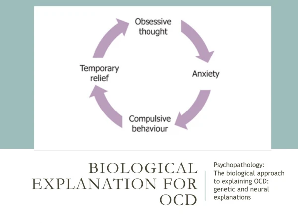 Biological explanation for OCD