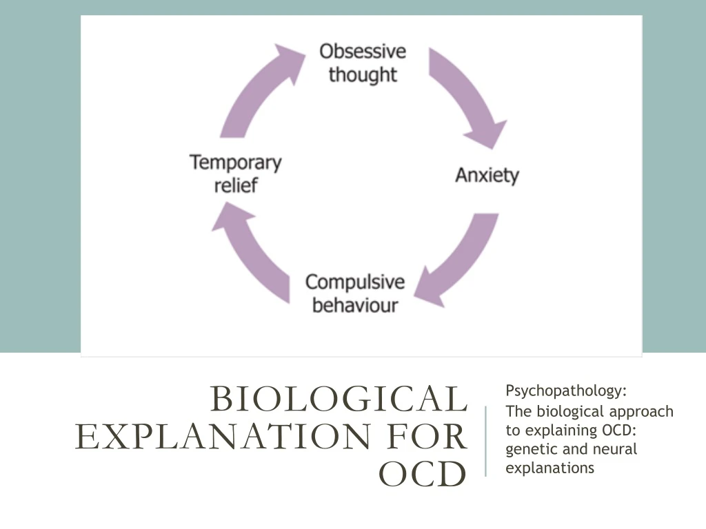 biological explanation for ocd