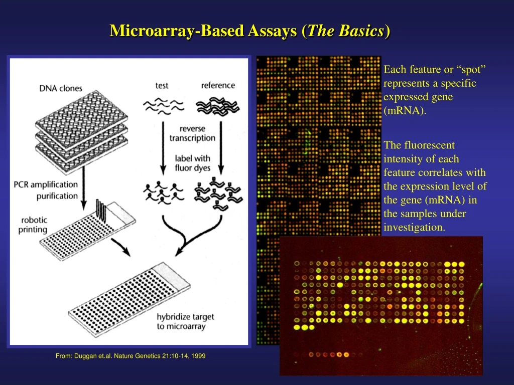 microarray based assays the basics