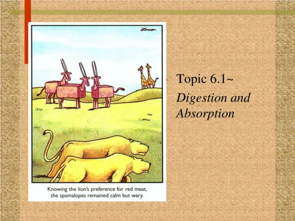 Topic 6.1~ 	Digestion and Absorption