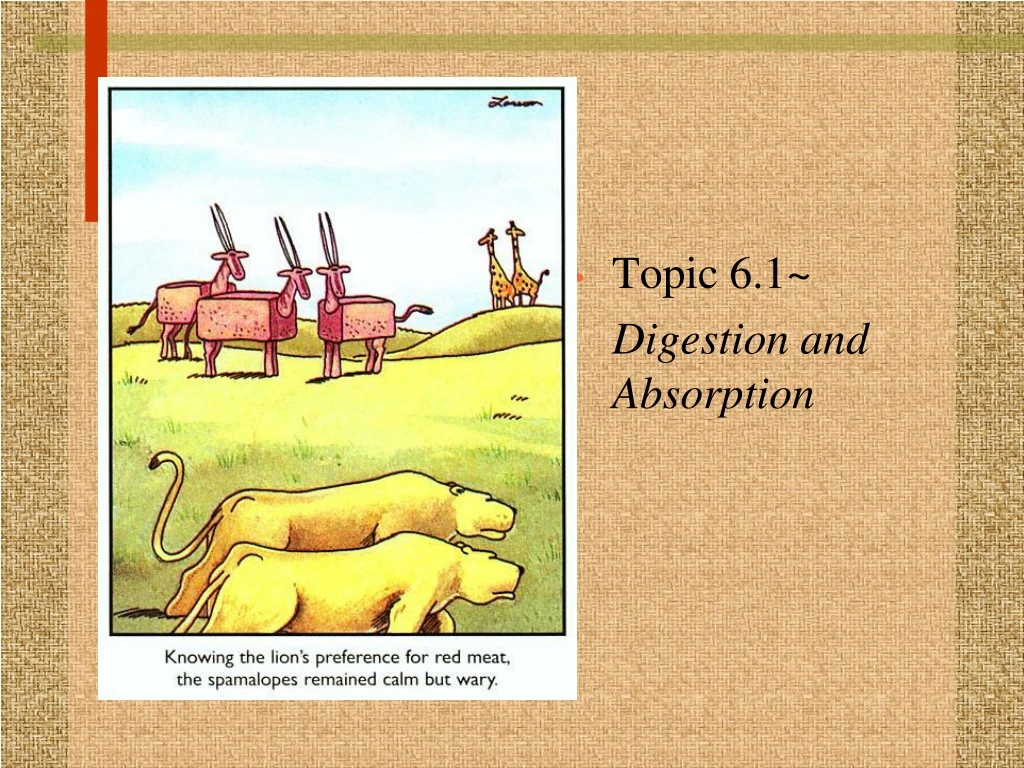 topic 6 1 digestion and absorption
