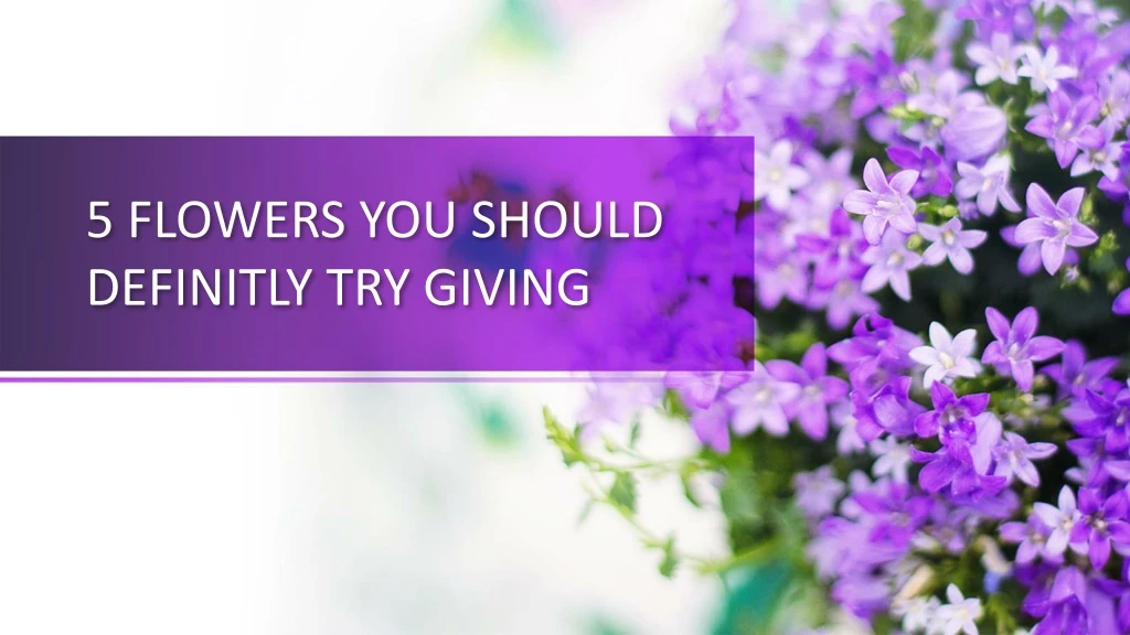 5 flowers you should definitly try giving